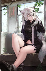 Rule 34 | 1girl, animal ears, arknights, bare legs, black footwear, black jacket, black shorts, commentary, fingerless gloves, gloves, grey eyes, hair between eyes, hair ornament, hairclip, hand up, highres, indoors, jacket, knee up, lappland (arknights), leaf, long hair, long sleeves, looking to the side, material growth, midriff peek, navel, oripathy lesion (arknights), parted lips, scar, scar across eye, scar on face, shoes, short shorts, shorts, sitting, solo, tail, thighs, train interior, unsomnus, white gloves, white hair, wide sleeves, window, wolf ears, wolf tail