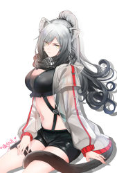 Rule 34 | 1girl, animal ear fluff, animal ears, arknights, black hair, black shorts, breasts, bustier, cat ears, cat girl, cat tail, chest strap, cleavage, closed mouth, crop top, curly hair, ear piercing, eyes visible through hair, gradient hair, hair over one eye, high ponytail, highres, hood, hooded coat, layered sleeves, lingshalan, long hair, long sleeves, looking at viewer, medium breasts, multicolored hair, navel, piercing, ponytail, pouch, raincoat, scarf, schwarz (arknights), short over long sleeves, short shorts, short sleeves, shorts, silver hair, sitting, solo, stomach, tail, thigh pouch, thigh strap, very long hair, yellow eyes