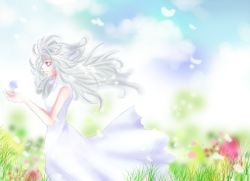 Rule 34 | 00s, 1girl, bare shoulders, blue sky, blush, casshern (series), casshern sins, day, dress, field, flower, flower field, from side, holding, aged up, outdoors, profile, red eyes, ringo (casshern sins), sky, sleeveless, sleeveless dress, solo, white dress, white hair