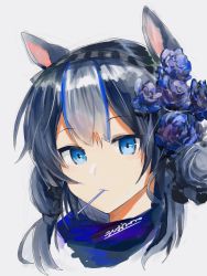 Rule 34 | 1girl, animal ears, arknights, blue eyes, blue hair, candy, chinese commentary, expressionless, flower, food, food in mouth, glaucus (arknights), hair flower, hair ornament, highres, lollipop, low twintails, multicolored hair, okasaki ushio (03103335), portrait, solo, streaked hair, twintails