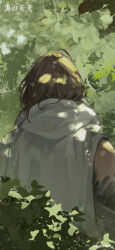 Rule 34 | 1boy, absurdres, brown hair, copyright name, copyright notice, dappled sunlight, facing away, from behind, getian (reverse:1999), highres, leaf, logo, male focus, medium hair, official art, official wallpaper, reverse:1999, shirt, single bare shoulder, solo, sunlight, tree, upper body, white shirt