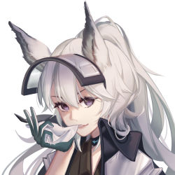 Rule 34 | 1girl, animal ears, arknights, bad id, bad pixiv id, biting, commentary request, fang, gloves, grani (arknights), hair between eyes, highres, horse ears, jacket, jiuwuyin, lips, long hair, looking at viewer, ponytail, purple eyes, silver hair, simple background, smile, solo, upper body, white background