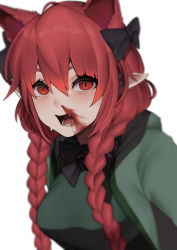 Rule 34 | 1girl, :d, absurdres, animal ears, bad id, bad twitter id, blood, blurry, bobby36446329, braid, breasts, cat ears, depth of field, dress, extra ears, eyebrows hidden by hair, fang, green dress, highres, kaenbyou rin, long hair, medium breasts, nosebleed, open mouth, pointy ears, red eyes, red hair, simple background, smile, solo, touhou, twin braids, twintails, upper body, white background