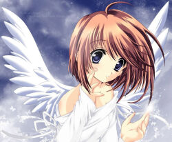 Rule 34 | angel, blue eyes, brown hair, feathered wings, komaki manaka, short hair, solo, to heart (series), to heart 2, wings