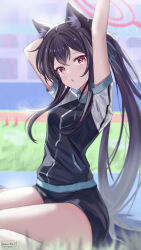 Rule 34 | 1girl, absurdres, animal ear fluff, animal ears, arm up, black hair, black jacket, black shorts, blue archive, blush, cat ears, gym shorts, gym uniform, hair between eyes, halo, highres, jacket, long hair, looking at viewer, open mouth, pink halo, red eyes, serika (blue archive), shorts, solo, track jacket, twintails, zino zinuo