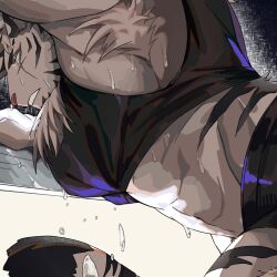 Rule 34 | 1boy, abs, animal ears, arknights, armpit hair, armpits, bara, cropped, doufujintianxianle, from below, furry, furry male, highres, large pectorals, looking down, male focus, midriff, mountain (arknights), muscular, muscular male, parted lips, pectorals, scar, scar across eye, scar on face, shirt, short hair, sidepec, solo, sportswear, stomach, sweat, tail, tied shirt, tiger boy, tiger ears, tiger tail, wet, wet clothes, wet shirt, white fur, white hair