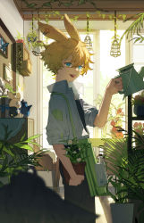 Rule 34 | 1boy, :d, absurdres, animal ears, apron, aqua eyes, arknights, black legwear, black pants, blonde hair, bug, butterfly, clock, collared shirt, commentary request, ear ornament, flower, green apron, hair between eyes, highres, holding, indoors, insect, kettle, leonhardt (arknights), light bulb, male focus, maorongxingqiu, open mouth, pants, plant, potted plant, rabbit ears, shaded face, shadow, shelf, shirt, short hair, sleeves rolled up, smile, solo, stuffed animal, stuffed rabbit, stuffed toy, teeth, towel, upper teeth only, vines, watering can, white shirt, white sleeves, window