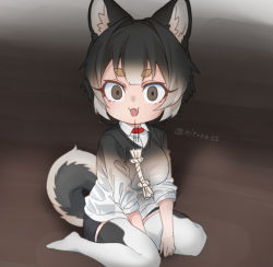Rule 34 | 1girl, :3, :d, animal ear fluff, animal ears, between legs, black hair, breasts, dog ears, dog girl, dog tail, dropping, fang, gradient hair, hand between legs, large breasts, multicolored hair, no shoes, nyifu, open mouth, original, short hair, sitting, smile, solo, tail, thick eyebrows, thighhighs, twitter username, wariza, white hair, wide-eyed