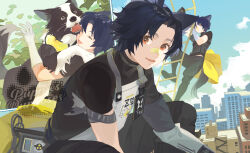 Rule 34 | 1boy, animal, animal ears, apron, arknights, arm scarf, bandaid, bandaid on face, bandaid on nose, black shirt, blue hair, blue sky, border collie, building, closed eyes, clothes around waist, commentary, dark blue hair, dog, dog boy, dog ears, dog tail, favilia, feet out of frame, gloves, highres, holding, holding animal, holding dog, id card, jacket, jacket around waist, ladder, looking at viewer, male focus, multiple views, open mouth, orange eyes, outdoors, parted bangs, plant, rope ladder, shirt, sky, smile, tail, watermark, white apron, white gloves, windflit (arknights), yellow jacket