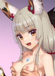 Rule 34 | 1boy, 1girl, animal ears, blunt bangs, blush, breasts, cat ears, chest jewel, collarbone, facial mark, fangs, grabbing, grabbing another&#039;s breast, grabbing from behind, grey hair, groping, hetero, highres, kawakami rokkaku, long hair, low twintails, nia (blade) (xenoblade), nia (xenoblade), nipples, nude, open mouth, small breasts, smile, solo focus, twintails, very long hair, xenoblade chronicles (series), xenoblade chronicles 2, yellow eyes