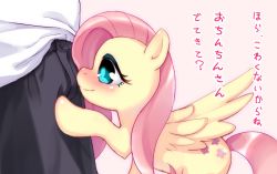Rule 34 | 1boy, 1girl, ?, blush, closed mouth, fluttershy, hasbro, kappuku, long hair, my little pony, my little pony: friendship is magic, pink hair, pony (animal), shiny skin, simple background, smile, tail, text focus, translation request, wings
