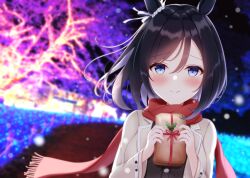 Rule 34 | 1girl, animal ears, black hair, black shirt, blue eyes, bob cut, christmas, closed mouth, coat, commentary request, dutch angle, ear scrunchie, eishin flash (umamusume), fringe trim, gift, grey coat, highres, holding, holding gift, holly, horse ears, horse girl, long sleeves, looking at viewer, michizane sgawl, night, outdoors, red scarf, scarf, scrunchie, shirt, short hair, smile, solo, umamusume, white scrunchie, wind