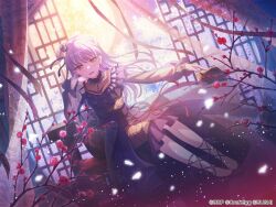 Rule 34 | 1girl, bang dream!, black dress, cherry blossoms, dress, earrings, frilled sleeves, frills, full moon, gothic lolita, grey hair, jewelry, lolita fashion, long hair, long sleeves, looking at viewer, minato yukina, moon, official art, open mouth, petals, see-through, see-through sleeves, sitting, tassel, tassel earrings, yellow eyes