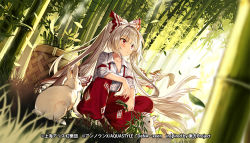 Rule 34 | 1girl, armband, baggy pants, bamboo, bamboo forest, basket, blunt bangs, blush, bow, buttons, closed mouth, collarbone, collared shirt, commentary request, copyright notice, eyelashes, falling leaves, forest, fuepo, fujiwara no mokou, full body, hair bow, holding, leaf, long hair, long sleeves, looking to the side, nature, official art, pants, rabbit, red eyes, red pants, shirt, sidelocks, silver hair, sitting, sleeves rolled up, solo, suspenders, touhou, touhou danmaku kagura, two-tone bow, white shirt, wing collar