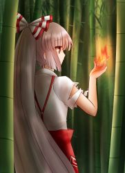 Rule 34 | 1girl, bamboo, bamboo forest, expressionless, facing away, fire, flaming hand, forest, from behind, fujiwara no mokou, hand up, koto (shiberia39), long hair, nature, ponytail, red eyes, solo, suspenders, torn clothes, torn sleeves, touhou, very long hair, white hair