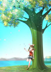 Rule 34 | 1girl, :d, absurdres, bad id, bad pixiv id, bike shorts, black footwear, black shorts, brown hair, creatures (company), day, game freak, happy, highres, long hair, may (pokemon), nature, nintendo, open mouth, outdoors, petals, pokemon, pokemon oras, red shirt, shirt, shoes, shorts, smile, solo, standing, tree, water, white shorts, yuihico