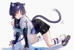 Rule 34 | 1boy, all fours, animal ears, auaua 0511, bishounen, cat boy, cat ears, cat tail, genshin impact, highres, japanese clothes, male focus, one eye closed, open mouth, purple eyes, purple hair, sandals, scaramouche (genshin impact), short hair, shorts, simple background, sleeveless, solo, tail, thighs, wanderer (genshin impact), white background