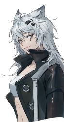 Rule 34 | 1girl, animal ears, arknights, bandeau, black jacket, breasts, commentary, grey eyes, hair between eyes, hair ornament, hairclip, highres, jacket, lappland (arknights), long hair, long sleeves, looking at viewer, medium breasts, midriff, navel, open clothes, open jacket, scar, scar across eye, scar on face, silver hair, simple background, smile, solo, stomach, strapless, tube top, upper body, white background, wolf ears, zhongmu