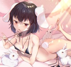 Rule 34 | 1girl, animal, animal ears, ass, bad id, bad pixiv id, barefoot, bikini, unworn bikini bottom, black bikini, black hair, breasts, carrot necklace, collarbone, commentary request, floppy ears, highres, hiiragi ken, inaba tewi, jewelry, leg up, lying, micro bikini, necklace, on stomach, open mouth, rabbit, rabbit ears, rabbit girl, rabbit tail, red eyes, short hair, small breasts, soles, solo, sweat, swimsuit, tail, too many, too many rabbits, touhou