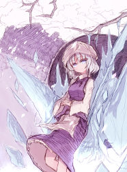 Rule 34 | 1girl, bad id, bad pixiv id, blue eyes, branch, breasts, dress, eyes visible through hair, feet out of frame, frilled dress, frills, grey hair, hat, ice, leaning back, letty whiterock, long sleeves, looking at viewer, own hands together, shirt, solo, touhou, tsuzuku (hayamisyoto), white shirt