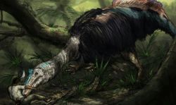 Rule 34 | 1boy, animal, claws, crest, dinosaur, feathers, jungle, nature, prehistoric, size difference