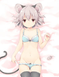 Rule 34 | 1girl, akagashi hagane, animal, animal ears, bed sheet, black thighhighs, blue bra, blue panties, bra, closed mouth, flat chest, from above, grey eyes, grey hair, looking at viewer, lying, mouse (animal), mouse ears, mouse tail, navel, nazrin, on back, on bed, panties, red eyes, sheet grab, short hair, solo, stomach, tail, thighhighs, touhou, underwear, underwear only