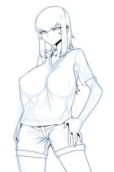 Rule 34 | 1girl, breasts, covered erect nipples, greyscale, hands on own hips, large breasts, long hair, monochrome, original, ponytail, see-through, shirt, shorts, sketch, slit pupils, solo, spacezin, t-shirt, zoe (spacezin)