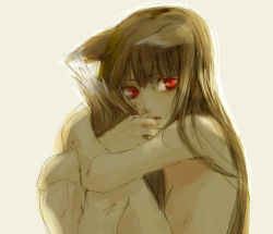 Rule 34 | 00s, 1girl, animal ears, backlighting, bizen, holo, hugging own tail, hugging tail, long hair, nude, red eyes, secca12, sideways glance, simple background, solo, spice and wolf, tail, wolf ears, wolf tail