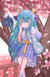 Rule 34 | 1girl, animal ears, blue dragon (kemono friends), blue eyes, blue hair, blush, breasts, cherry blossoms, dragon ears, dragon girl, dragon horns, dragon tail, dress, extra ears, hair between eyes, highres, horns, kemono friends, kemono friends 3, large breasts, long hair, looking at viewer, multicolored horns, onefiresticks, pink horns, socks, solo, tail, yellow horns