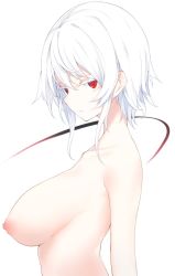 Rule 34 | 1girl, aged up, alternate breast size, breasts, collarbone, colored eyelashes, from side, frown, highres, nipples, otokuyou, red eyes, short hair, simple background, solo, topless, white background, white hair