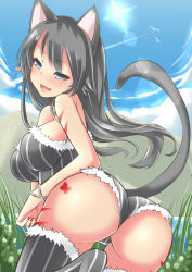 Rule 34 | 1girl, animal ears, ass, bare shoulders, black hair, blue eyes, blue sky, bug, butterfly, cat ears, cat tail, cloud, day, fang, fur, grass, highres, bug, lens flare, leotard, long hair, looking back, md5 mismatch, mountain, open mouth, original, outdoors, sei000, sky, solo, standing, tail, tattoo