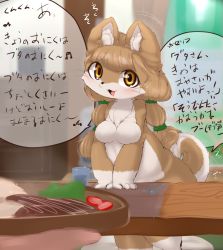 Rule 34 | brown eyes, brown hair, chipar, dog, furry, highres, japanese text, long hair, open mouth, text focus, translation request