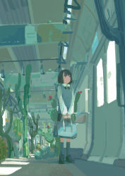 Rule 34 | 1girl, absurdres, bag, black hair, blue eyes, blue sweater vest, bob cut, bow, bowtie, cactus, collared shirt, commentary request, hand grip, highres, katakai, kneehighs, looking at viewer, looking to the side, original, pleated skirt, school bag, school uniform, shirt, short hair, skirt, socks, solo, standing, sweater vest, train interior, white shirt