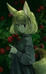 Rule 34 | 1girl, alternate costume, animal ear fluff, animal ears, black eyes, blonde hair, bush, commentary request, dress, extra ears, fennec (kemono friends), flower, fox ears, fox girl, fox tail, from side, grey dress, highres, holding, holding flower, kemono friends, long sleeves, looking at viewer, looking to the side, nanana (nanana iz), puffy long sleeves, puffy sleeves, short hair, solo, tail, upper body
