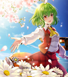 Rule 34 | 1girl, :d, ascot, blue sky, blurry, blurry foreground, blush, cloud, collared shirt, day, depth of field, dress shirt, flower, frilled neckwear, green hair, hair between eyes, kazami yuuka, open mouth, outdoors, outstretched arm, petals, pink flower, plaid, plaid skirt, plaid vest, red eyes, red skirt, red vest, round teeth, shirt, skirt, sky, sleeves past wrists, smile, solo, teeth, torii, touhou, upper teeth only, vest, white flower, white shirt, yellow ascot, yuuka nonoko