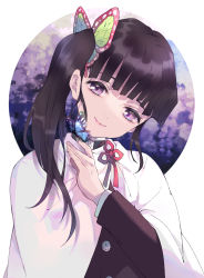Rule 34 | 1girl, animal, animal on hand, black hair, black jacket, bug, butterfly, butterfly hair ornament, butterfly on hand, cloak, closed mouth, commentary request, eyebrows hidden by hair, fingernails, hair ornament, head tilt, highres, insect, jacket, kayanogura, kimetsu no yaiba, long hair, long sleeves, looking at viewer, purple eyes, side ponytail, smile, solo, tsuyuri kanao, upper body, white cloak