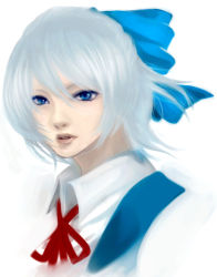 Rule 34 | 1girl, bad id, bad pixiv id, chumumu, cirno, embodiment of scarlet devil, portrait, realistic, simple background, solo, touhou, white background