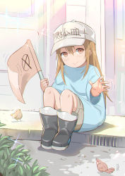 Rule 34 | 1girl, alcoholrang, aqua shirt, bird, bird request, blush, brown eyes, chromatic aberration, closed mouth, clothes writing, commentary, day, hair between eyes, hat, hataraku saibou, highres, holding, knees up, light blush, light brown hair, long hair, looking at viewer, outdoors, oversized clothes, oversized shirt, platelet (hataraku saibou), shirt, short sleeves, shorts, sitting, smile, solo, t-shirt, up sleeve, white hat