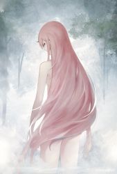 Rule 34 | 10s, 1girl, breasts, commentary request, darling in the franxx, day, forest, from behind, green eyes, highres, horns, long hair, looking at viewer, looking back, marumoru, nature, nude, outdoors, pink hair, single horn, small breasts, solo, tree, two side up, very long hair, wading, water, zero two (darling in the franxx)