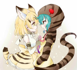 Rule 34 | 10s, 2girls, animal ears, aqua hair, blonde hair, blush, bow, bowtie, brown eyes, cat ears, cat tail, commentary request, elbow gloves, eye contact, gloves, hands in pockets, hood, hoodie, kemono friends, layered skirt, looking at another, megumi 222, multiple girls, open mouth, ribbon, sand cat (kemono friends), skirt, snake tail, striped clothes, striped hoodie, tail, triangle mouth, tsuchinoko (kemono friends), tying, yellow eyes