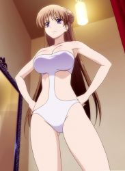 Rule 34 | 10s, 1girl, absurdres, bikini, breasts, brown hair, highres, long hair, noel maresse ascot, purple eyes, smile, solo, standing, stitched, swimsuit, third-party edit, very long hair, walkure romanze