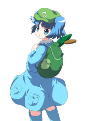 Rule 34 | 1girl, aqua eyes, backpack, bag, blue hair, boots, cattail, cucumber, female focus, gahiro, hat, kawashiro nitori, looking back, plant, pocket, rubber boots, simple background, solo, sunviola, touhou, twintails, two side up