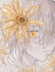 Rule 34 | 10 io, 1boy, bishounen, crying, crying with eyes open, flower, flower in eye, grey hair, highres, looking at viewer, male focus, original, solo, sunflower, symbol in eye, tears, yellow eyes