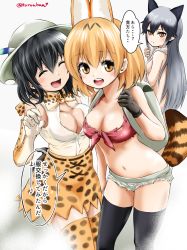Rule 34 | 10s, 3girls, :d, ^ ^, adapted costume, animal ears, backpack, bag, bare arms, bare shoulders, black gloves, black hair, black thighhighs, blonde hair, bow, bowtie, breasts, brown eyes, bucket hat, cleavage, cleavage cutout, closed eyes, clothing cutout, cosplay, costume switch, cowboy shot, crop top, elbow gloves, front-tie top, gloves, hand up, hat, hat feather, high-waist skirt, kaban (kemono friends), kaban (kemono friends) (cosplay), kemono friends, kuroba dam, long hair, looking at viewer, midriff, multicolored hair, multiple girls, navel, open mouth, serval (kemono friends), serval (kemono friends) (cosplay), serval print, serval tail, shirt, short hair, short shorts, shorts, silver fox (kemono friends), silver hair, skirt, sleeveless, sleeveless shirt, smile, standing, stomach, striped tail, tail, tank top, thighhighs, torn clothes, towel, towel around neck, translation request, two-tone hair, zettai ryouiki