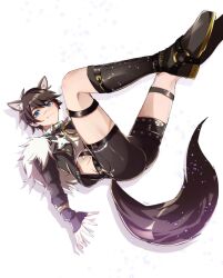 Rule 34 | 1boy, ahoge, animal ear fluff, animal ears, ass, belt, blue eyes, boots, brown fur, brown hair, closed mouth, collar, crop top, fang, fang out, full body, fur collar, fur hoodie, fur trim, garu (nu carnival), happy, high boots, highres, in air, jewelry, looking at viewer, male focus, midriff, nu carnival, scar, scar on face, scar on thigh, shadow, short hair, shorts, skin tight, skin tight pants, smile, tail, thigh strap, white background, wolf boy, wolf ears, wolf tail, yadome810