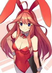 Rule 34 | 1girl, ahoge, animal ears, bare shoulders, blue eyes, blush, breasts, brown hair, cleavage, closed mouth, commentary request, covered navel, fake animal ears, go-toubun no hanayome, grey pantyhose, hair between eyes, hair ornament, hairband, hand on own hip, leotard, long hair, looking at viewer, medium breasts, nakano itsuki, official art, pantyhose, playboy bunny, rabbit ears, red hairband, red leotard, saiste, smile, solo, star (symbol), star hair ornament, strapless, strapless leotard, very long hair, wrist cuffs