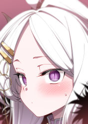 Rule 34 | 1girl, ahoge, blue archive, blush, close-up, closed mouth, eye focus, fur trim, hair ornament, hairclip, highres, hina (blue archive), hitotose rin, horns, long hair, looking at viewer, portrait, purple eyes, slit pupils, solo, sweatdrop, white hair