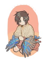 Rule 34 | 1girl, argyle capelet, argyle clothes, bird tail, blush, brown eyes, brown hair, commentary request, egg, feathered wings, harpy, kneeling, monster girl, ocean siro, orange background, original, parted bangs, short hair, socks, tail, white background, winged arms, wings