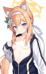 Rule 34 | 1girl, animal ear fluff, animal ears, blue archive, blue eyes, blush, breasts, breasts out, closed mouth, flower, gym uniform, hair between eyes, hair flower, hair ornament, hair over breasts, halo, headband, highres, jacket, long hair, long sleeves, looking at viewer, mari (blue archive), mari (track) (blue archive), multicolored clothes, multicolored jacket, nipples, official alternate costume, orange hair, partially unzipped, ponytail, simple background, sleeves past wrists, small breasts, smile, solo, track jacket, two-tone jacket, white background, white flower, white headband, yellow halo, zhnyy3