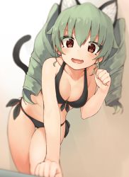Rule 34 | 10s, 1girl, all fours, anchovy (girls und panzer), animal ears, bikini, black bikini, black bra, blurry, blush, bra, breasts, brown eyes, cat ears, cat tail, cleavage, collarbone, depth of field, drill hair, fang, girls und panzer, green hair, highres, long hair, looking at viewer, medium breasts, navel, open mouth, paw pose, seramikku, solo, swimsuit, tail, twin drills, twintails, underwear